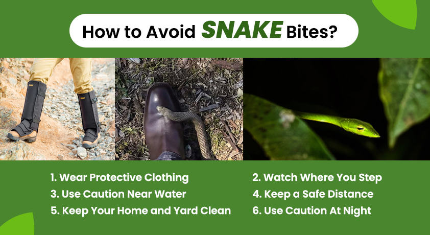 SweepSnake™ The Natural Way to Avoid Snake Bites